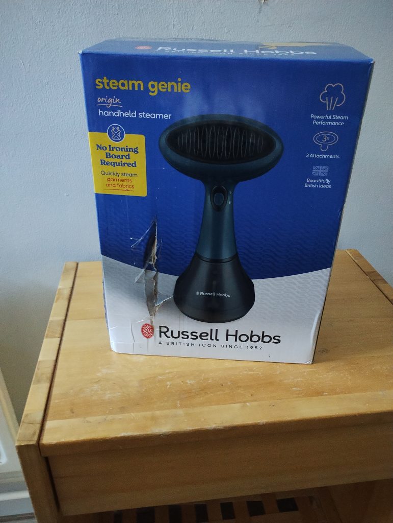 Russell Hobbs Steam Genie in Teal